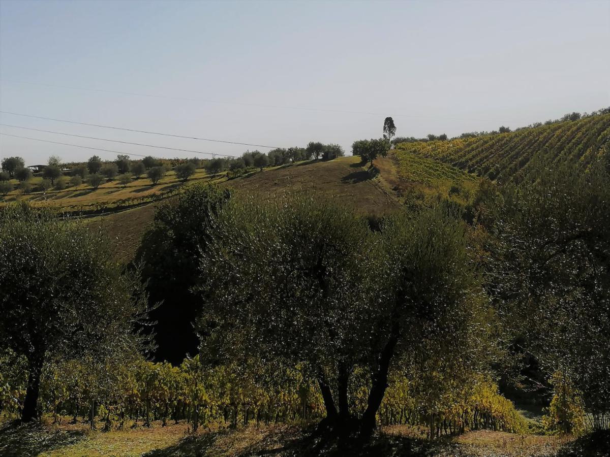 Agricamping Poggio Ai Pini Wine Camping Certaldo Exterior photo