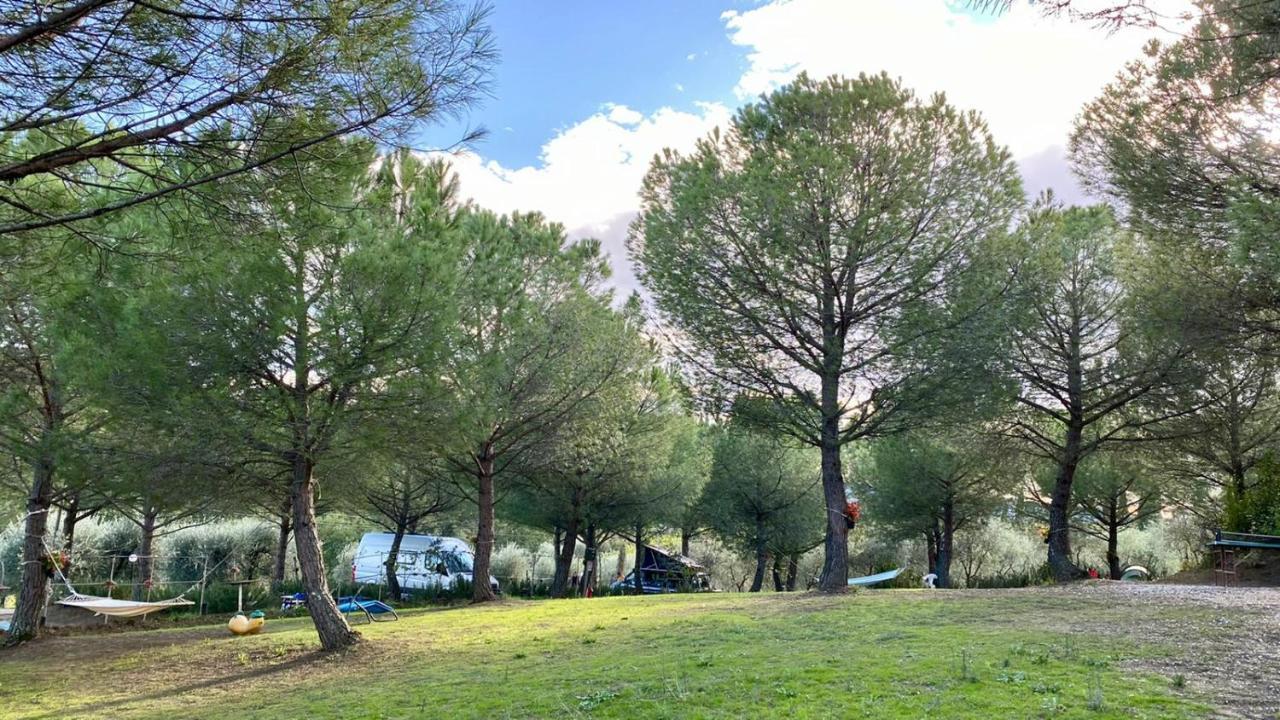 Agricamping Poggio Ai Pini Wine Camping Certaldo Exterior photo