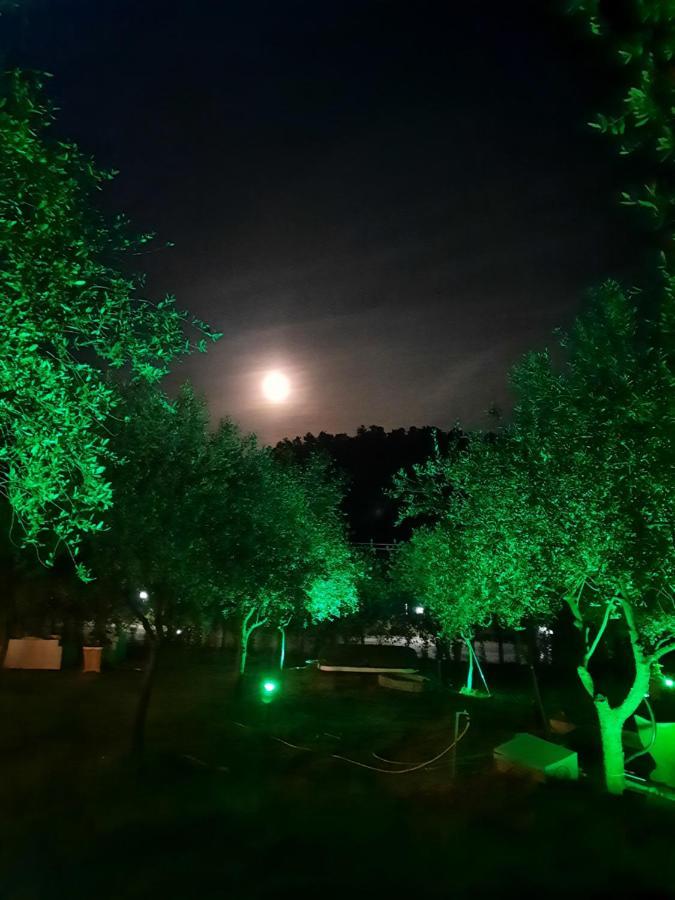 Agricamping Poggio Ai Pini Wine Camping Certaldo Exterior photo