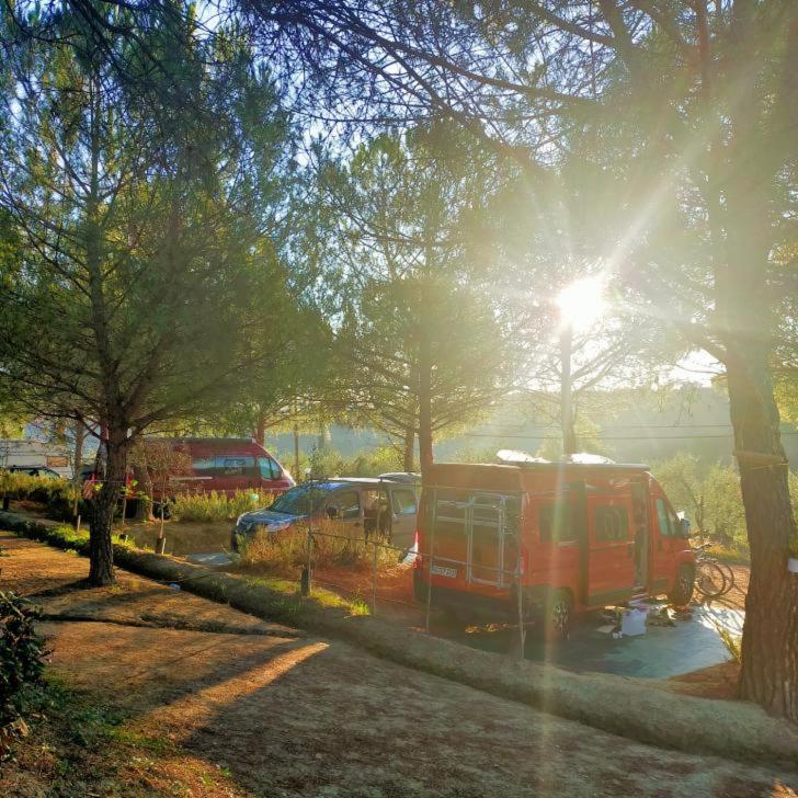 Agricamping Poggio Ai Pini Wine Camping Certaldo Exterior photo