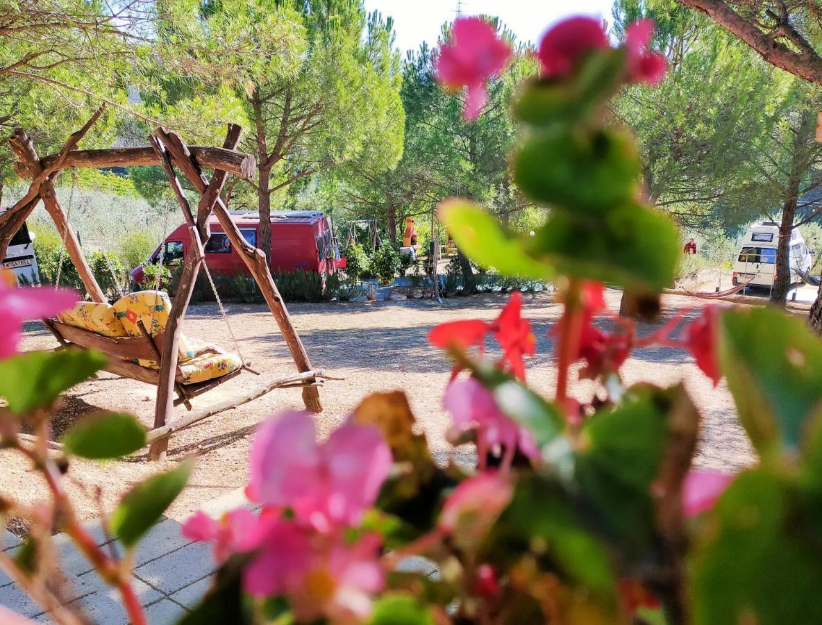 Agricamping Poggio Ai Pini Wine Camping Certaldo Exterior photo